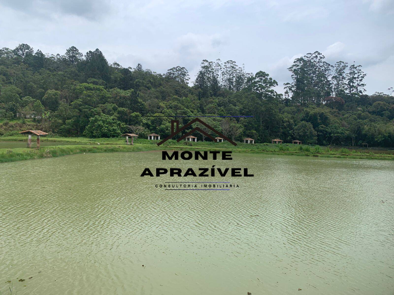 Sítio, 3 quartos, 105 hectares - Foto 4