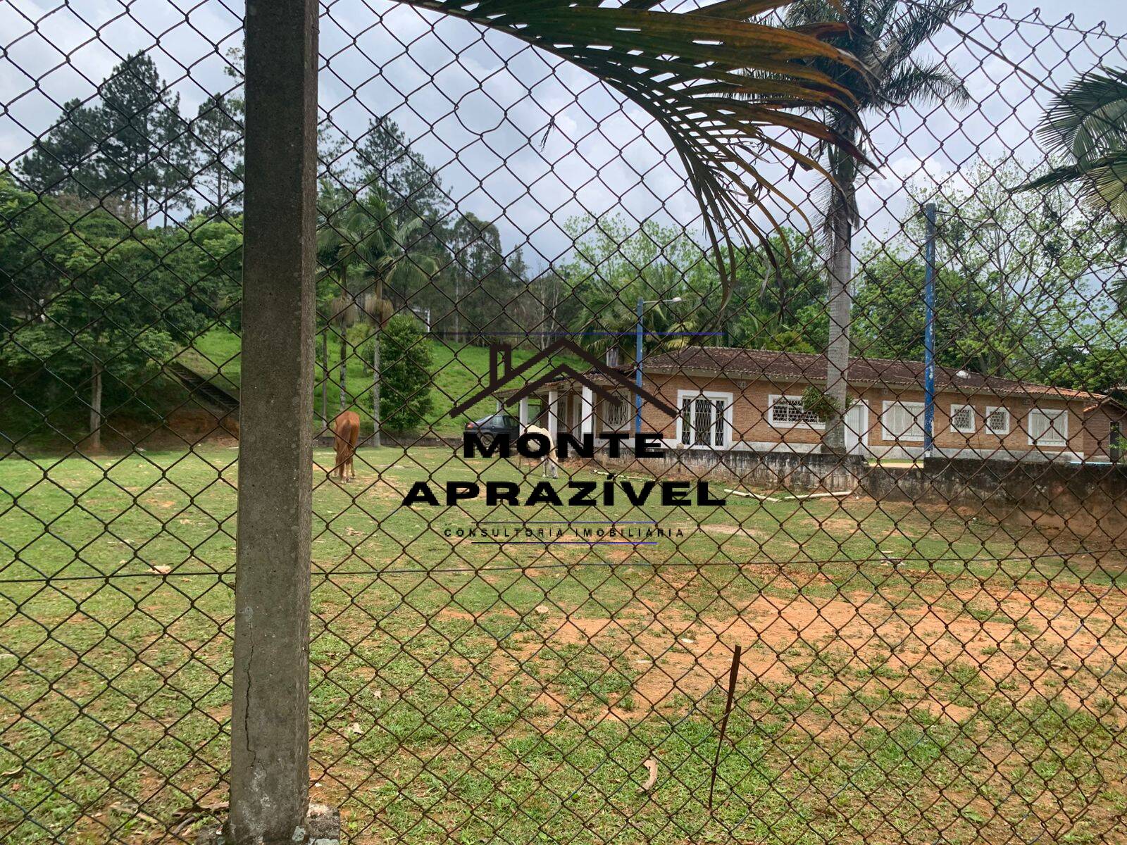 Sítio, 3 quartos, 105 hectares - Foto 6