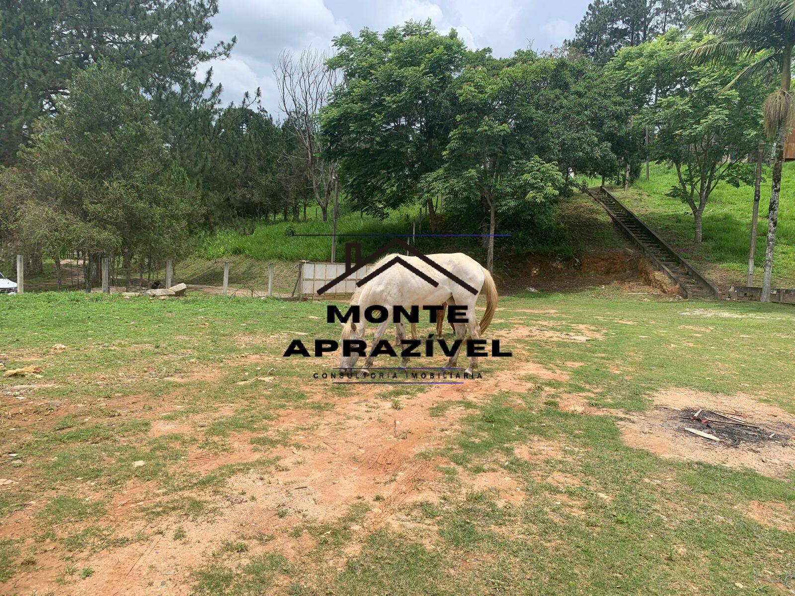 Sítio, 3 quartos, 105 hectares - Foto 7