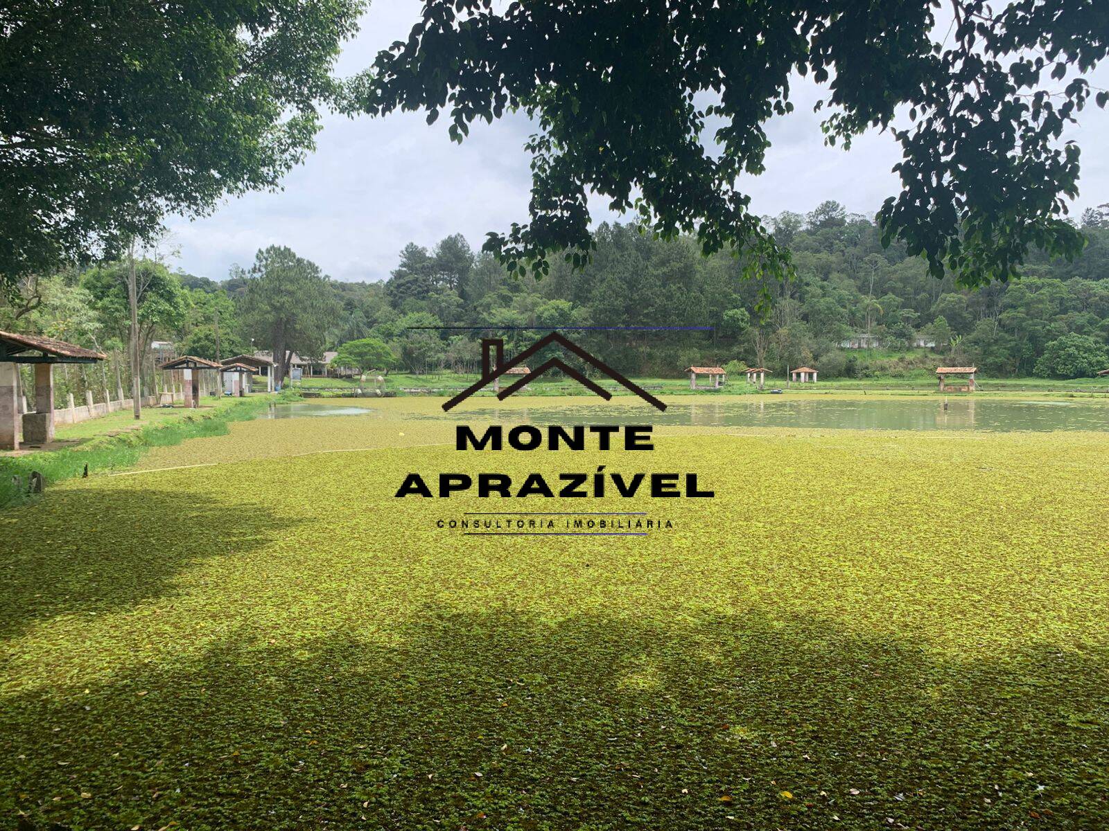 Sítio, 3 quartos, 105 hectares - Foto 9