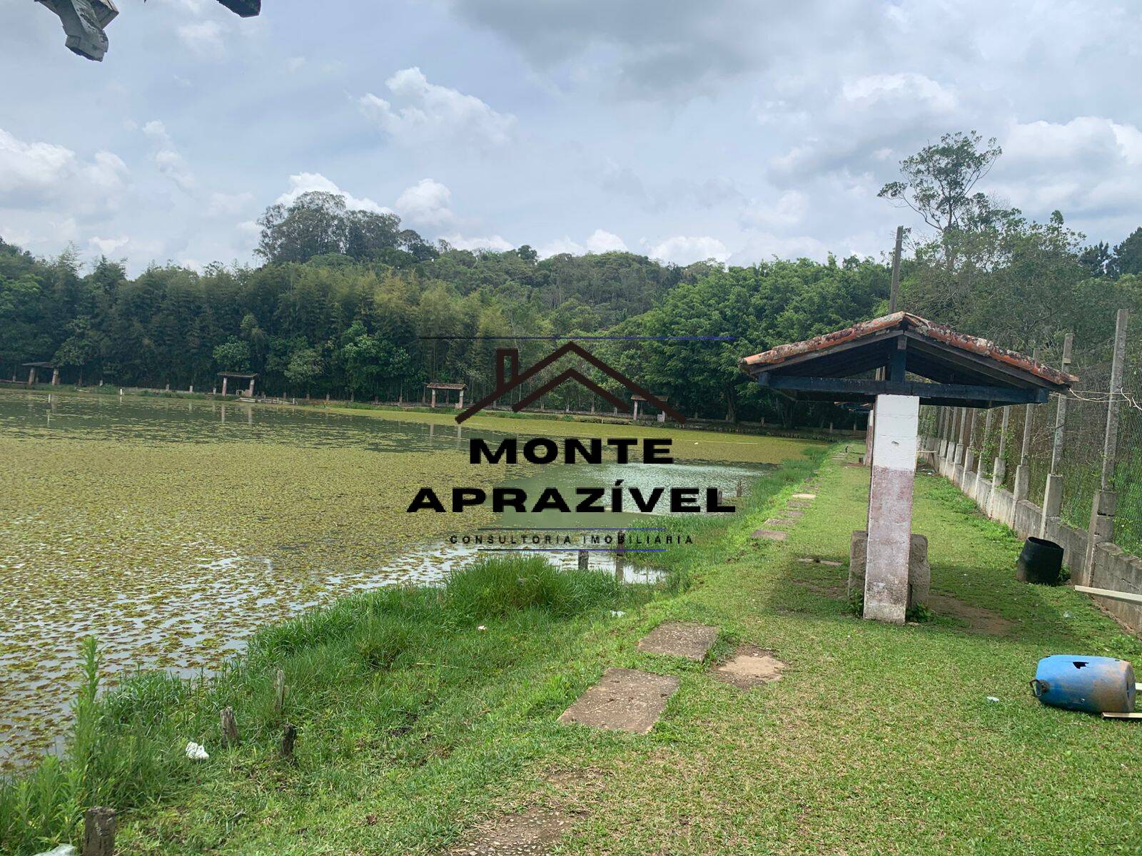 Sítio, 3 quartos, 105 hectares - Foto 10