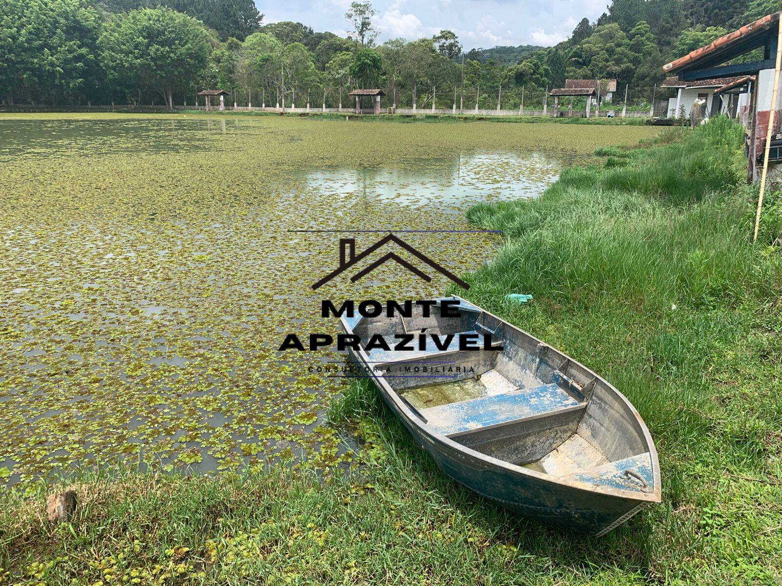 Sítio, 3 quartos, 105 hectares - Foto 14