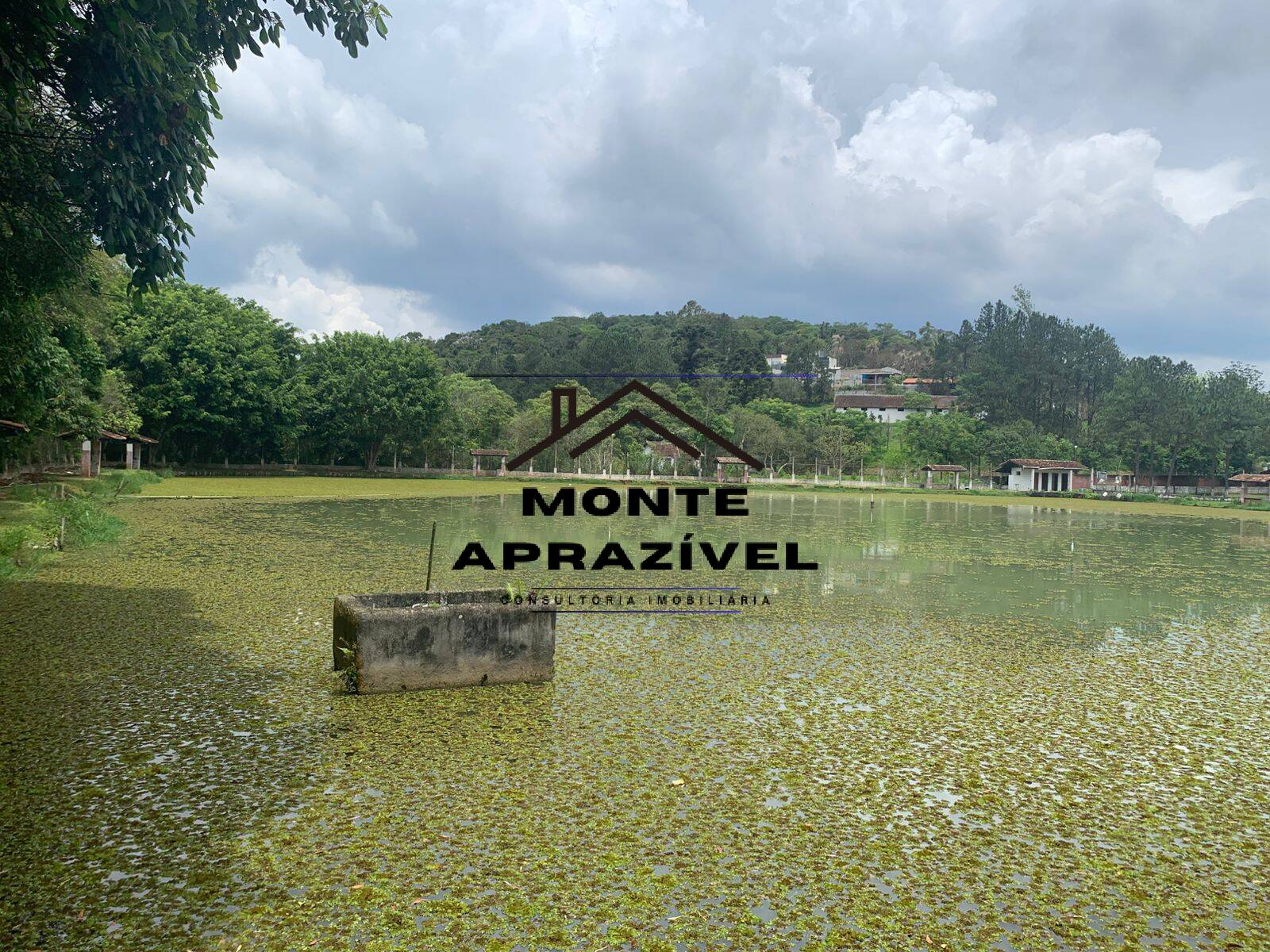 Sítio, 3 quartos, 105 hectares - Foto 16