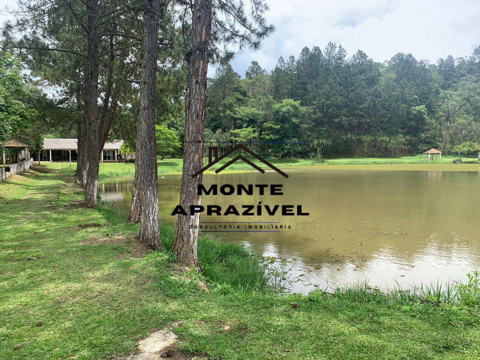 Sítio, 3 quartos, 105 hectares - Foto 17