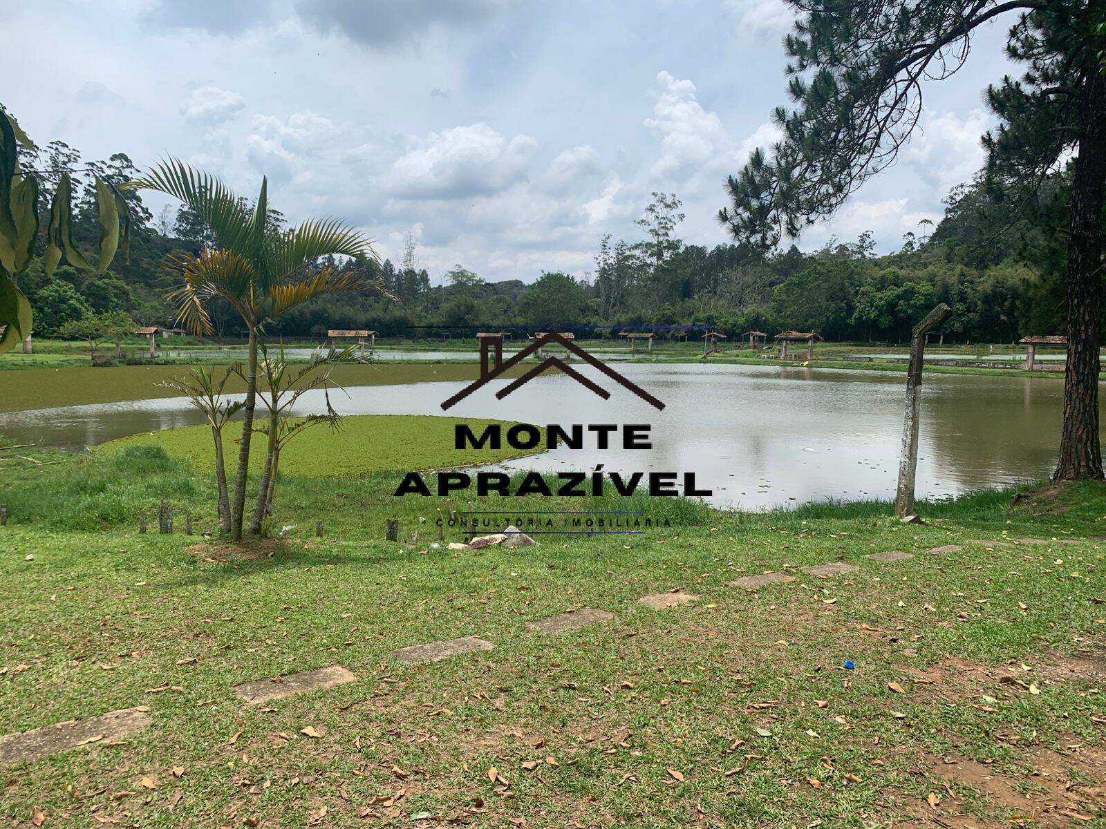 Sítio, 3 quartos, 105 hectares - Foto 21