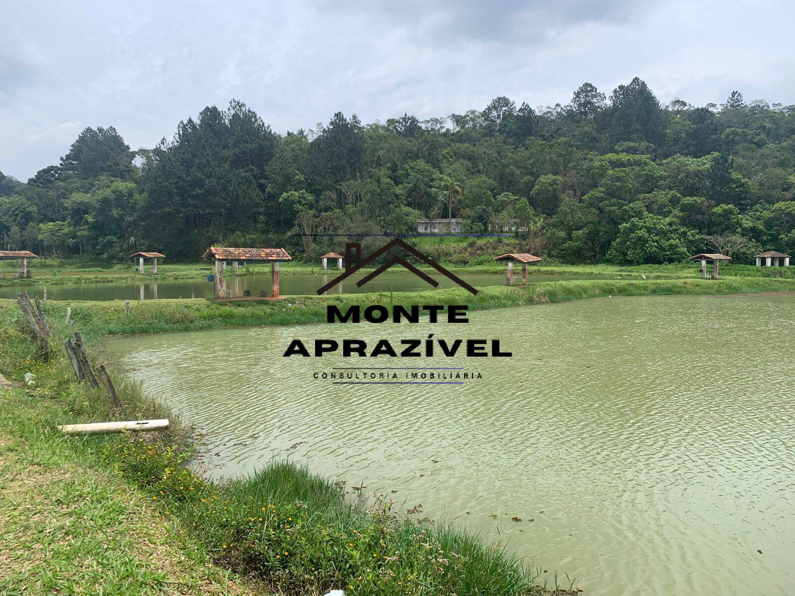 Sítio, 3 quartos, 105 hectares - Foto 28