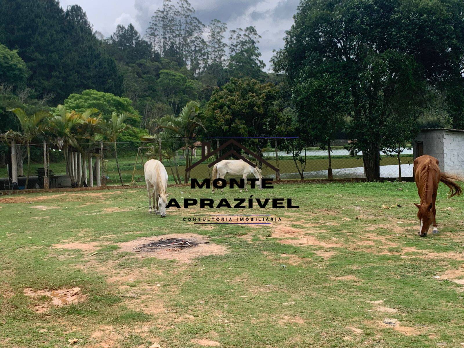 Sítio, 3 quartos, 105 hectares - Foto 29