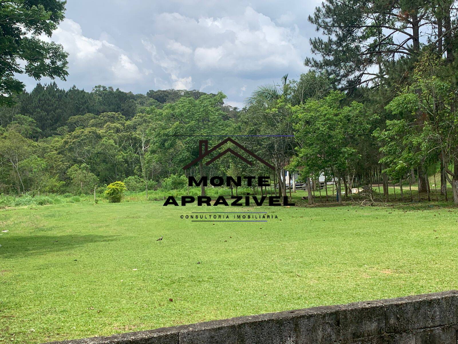 Sítio, 3 quartos, 105 hectares - Foto 27