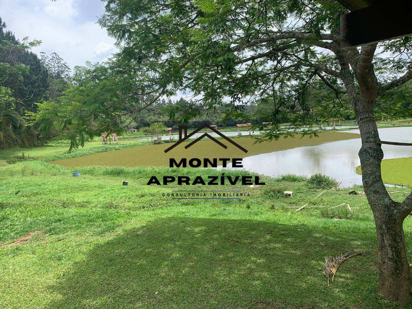 Sítio, 3 quartos, 105 hectares - Foto 33