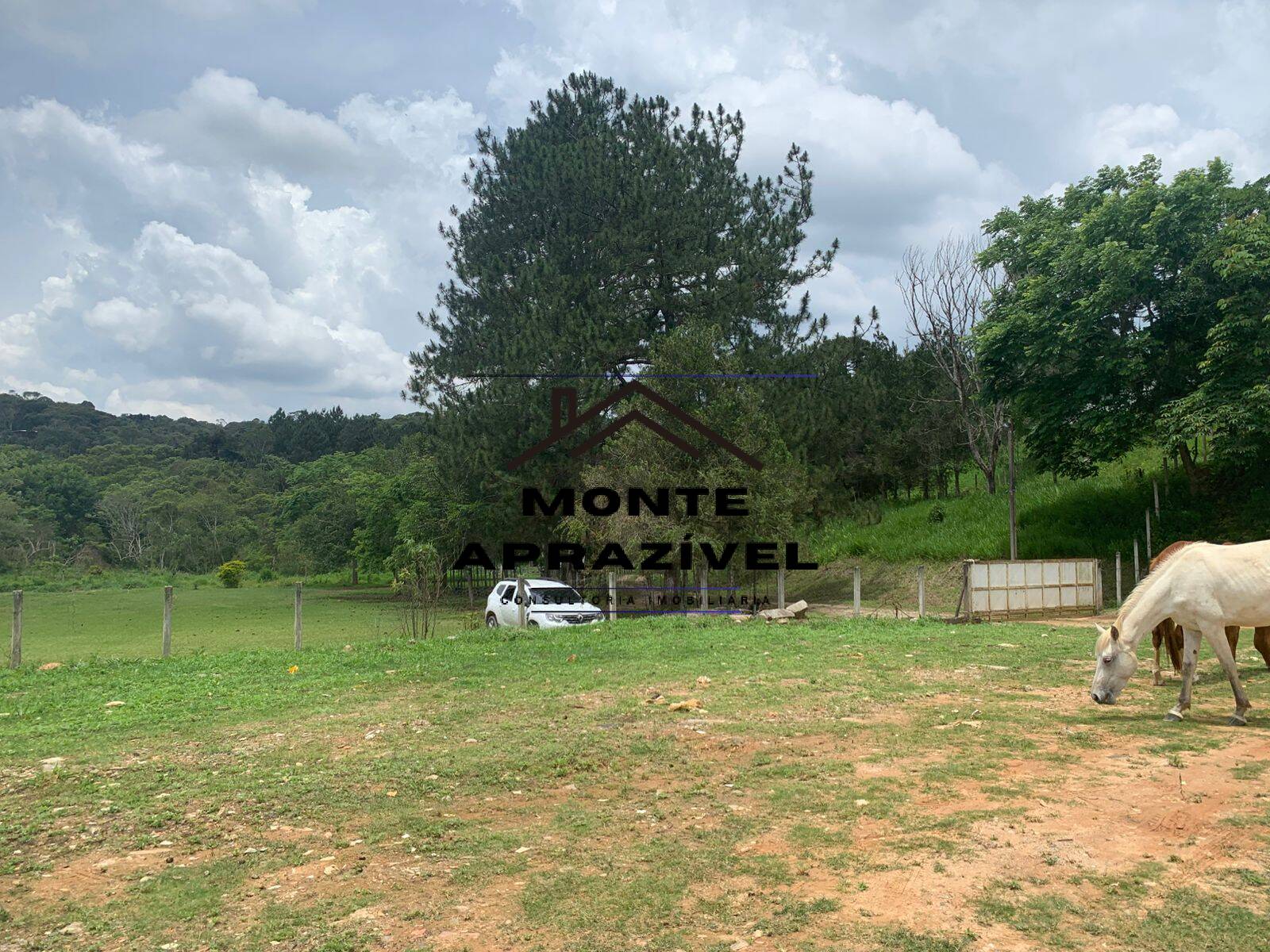 Sítio, 3 quartos, 105 hectares - Foto 32