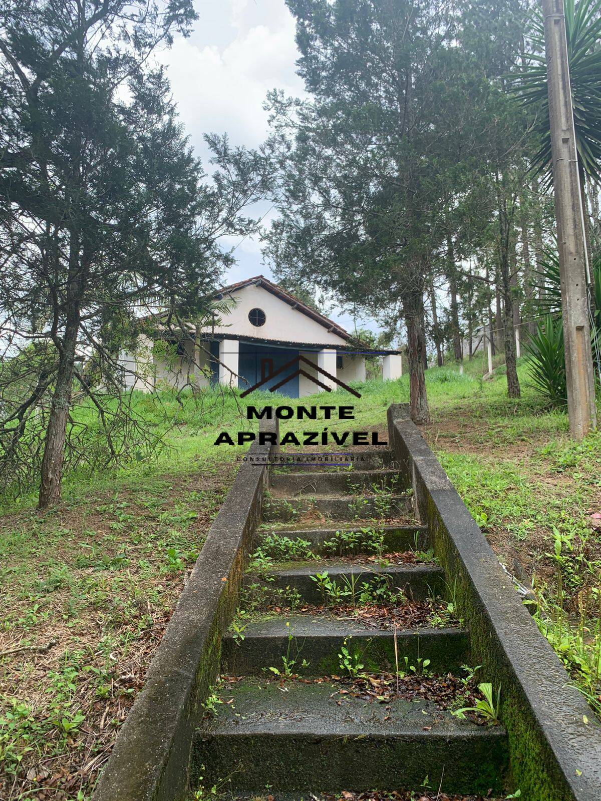 Sítio, 3 quartos, 105 hectares - Foto 34