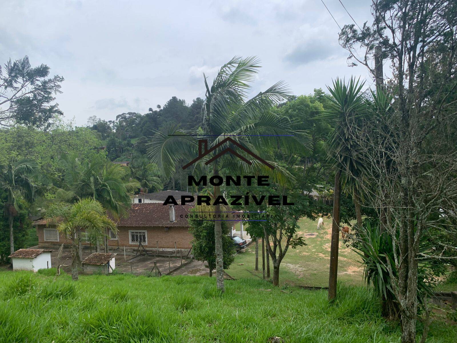 Sítio, 3 quartos, 105 hectares - Foto 36