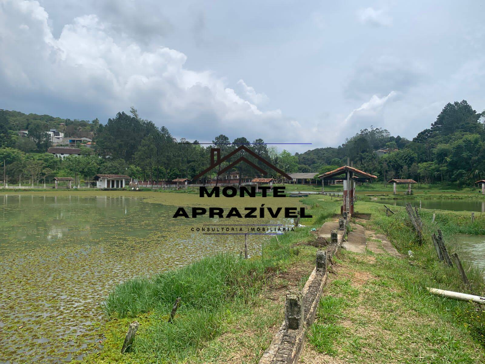 Sítio, 3 quartos, 105 hectares - Foto 37