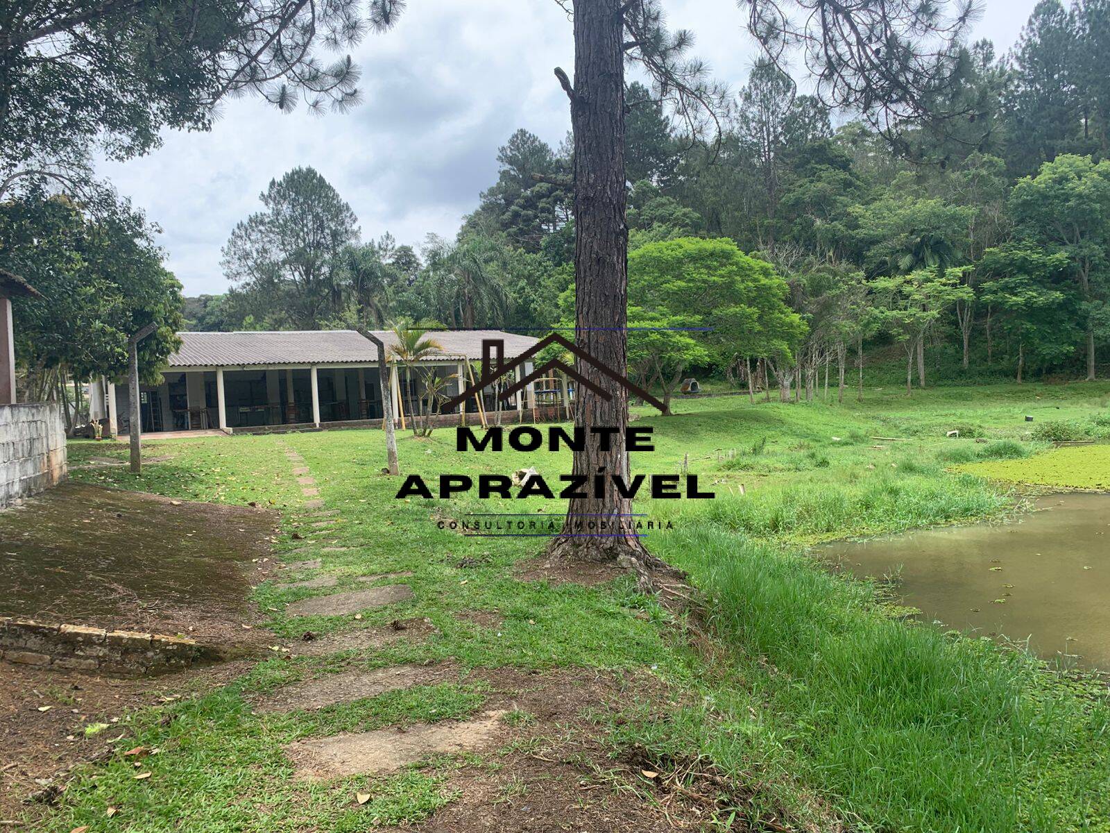 Sítio, 3 quartos, 105 hectares - Foto 43