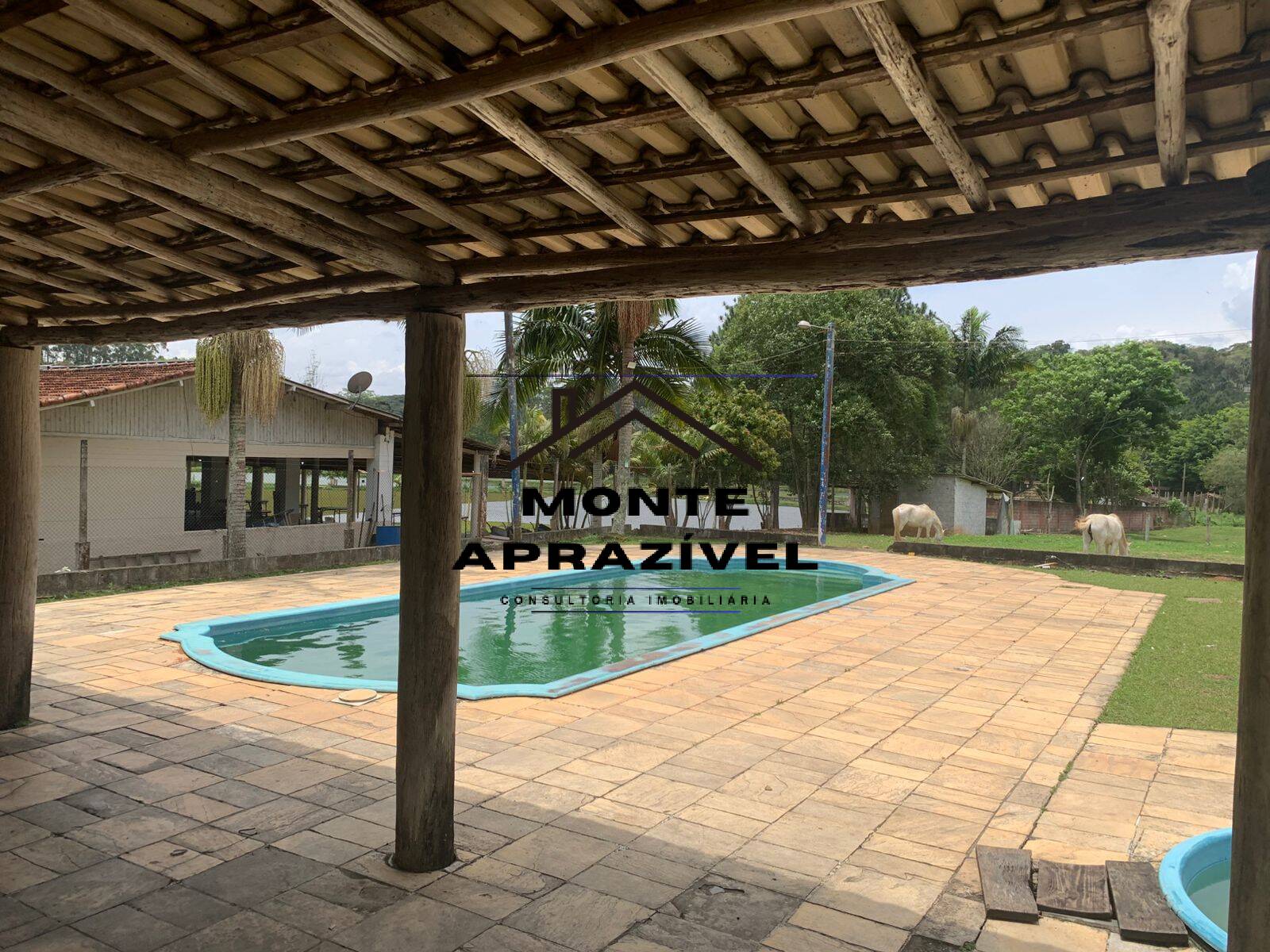 Sítio, 3 quartos, 105 hectares - Foto 45