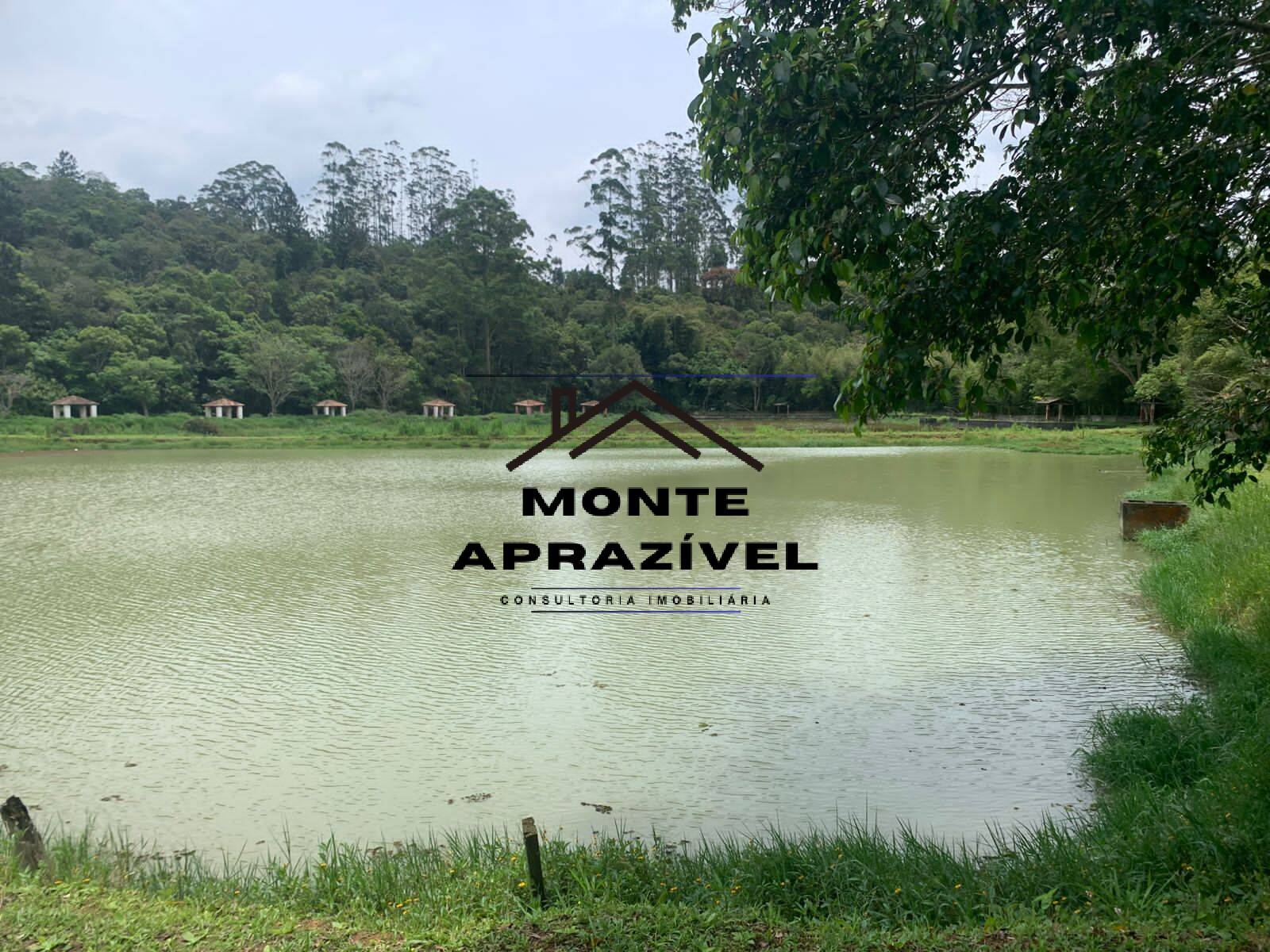 Sítio, 3 quartos, 105 hectares - Foto 47