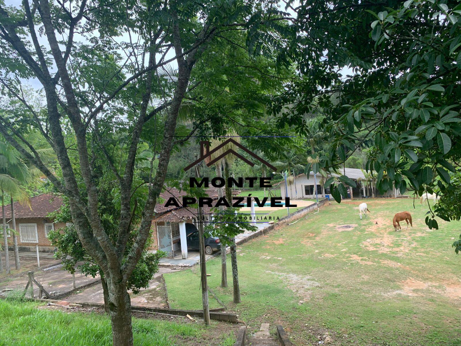 Sítio, 3 quartos, 105 hectares - Foto 48