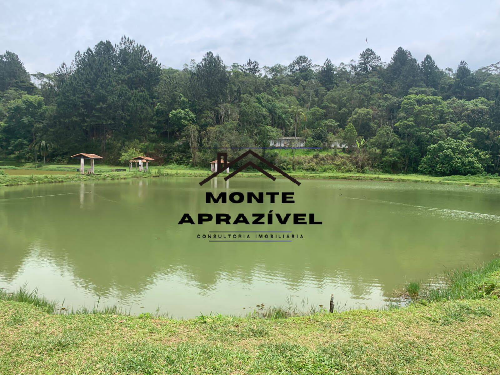 Sítio, 3 quartos, 105 hectares - Foto 49