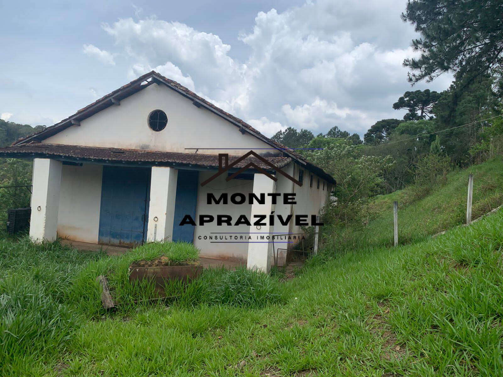 Sítio, 3 quartos, 105 hectares - Foto 61