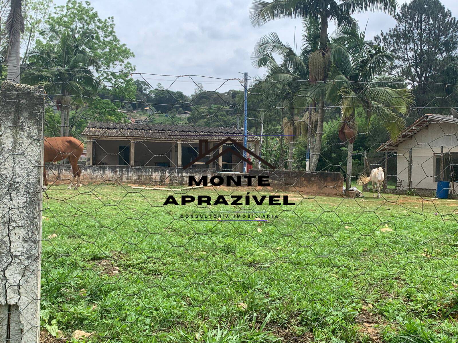 Sítio, 3 quartos, 105 hectares - Foto 59