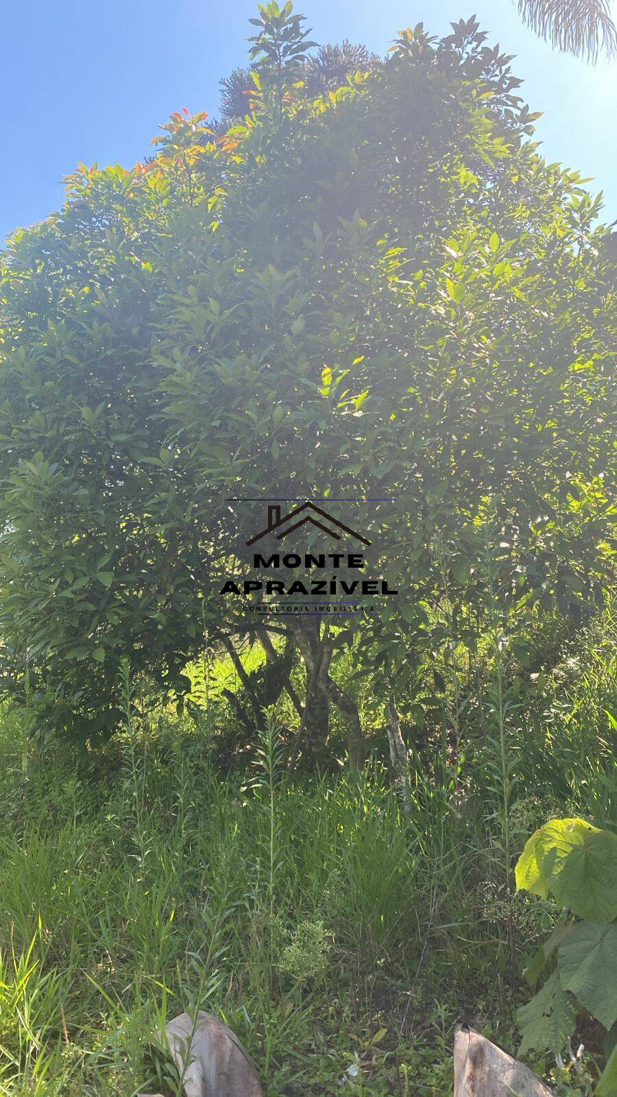 Chácara, 2 quartos, 1867 m² - Foto 24