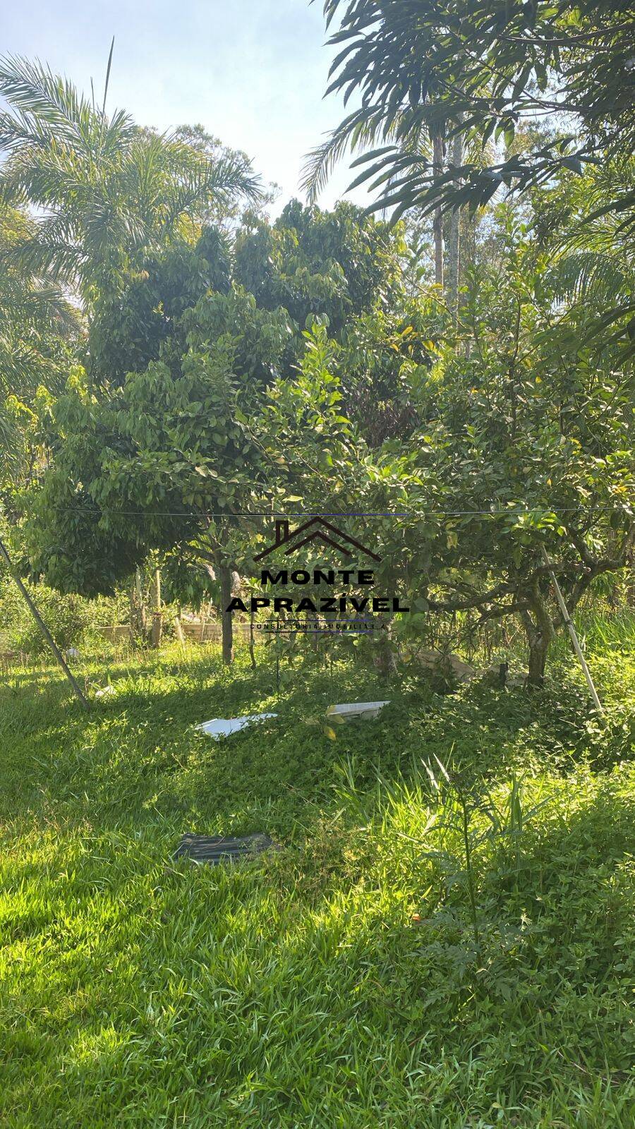 Chácara, 2 quartos, 1867 m² - Foto 23