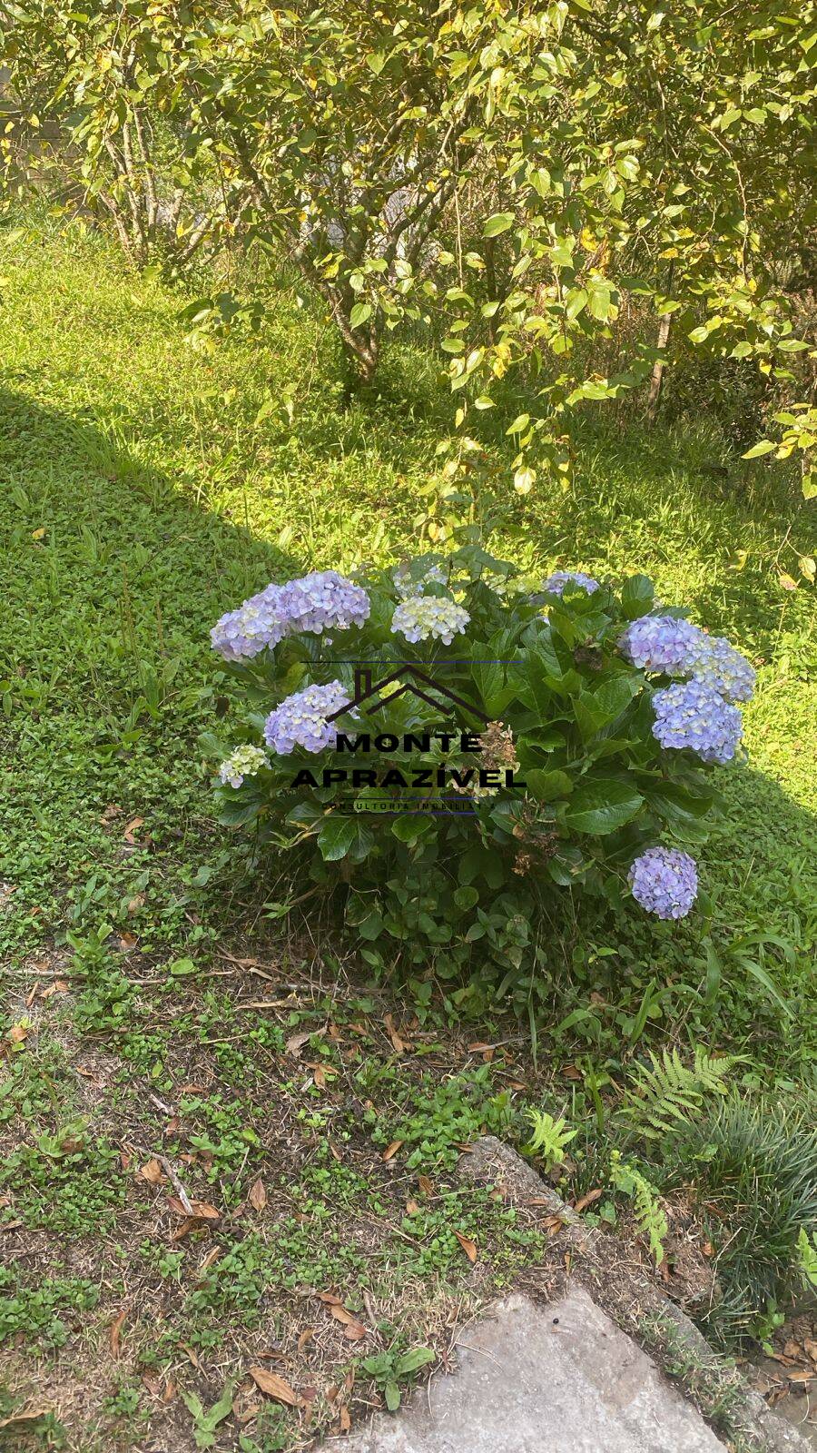 Chácara, 2 quartos, 1867 m² - Foto 36