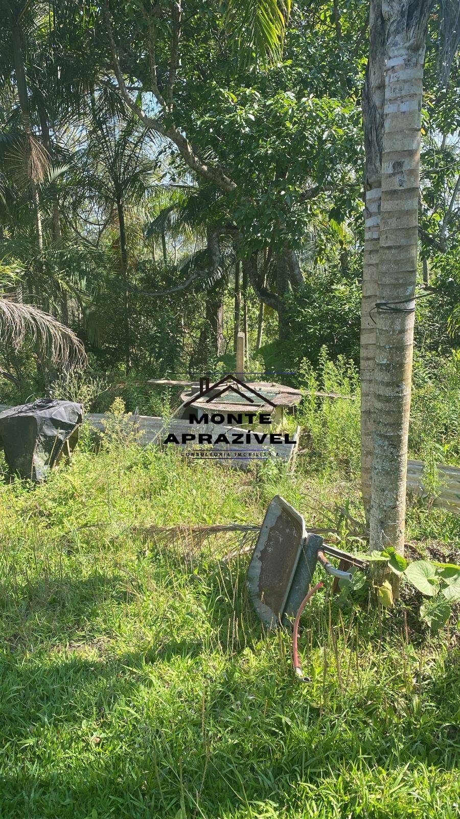 Chácara, 2 quartos, 1867 m² - Foto 37