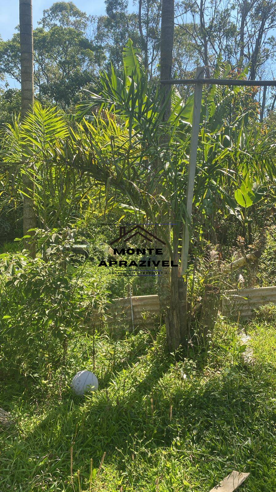 Chácara, 2 quartos, 1867 m² - Foto 38