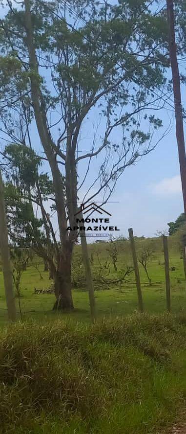 Terreno, 1000 m² - Foto 3