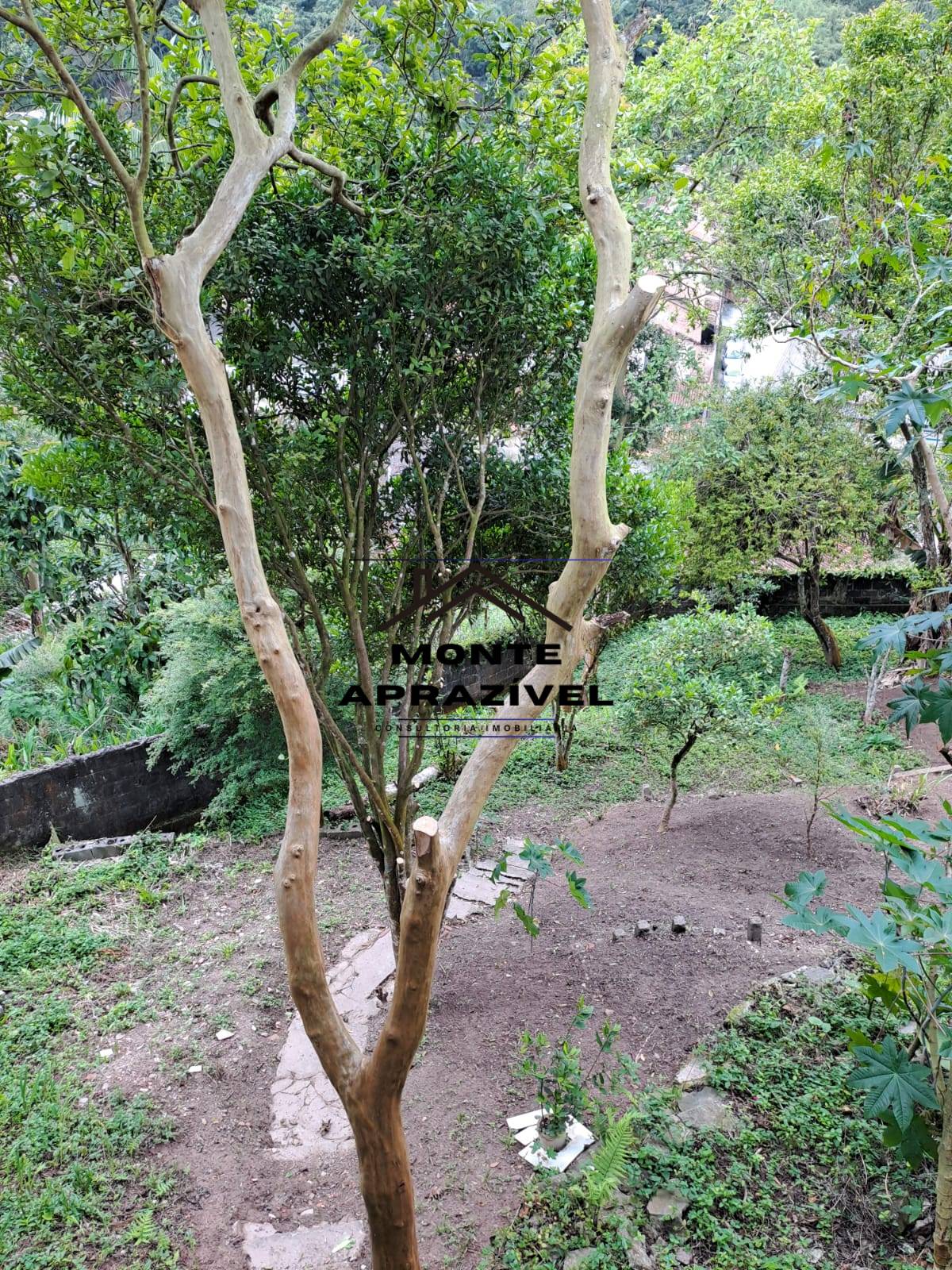 Casa, 3 quartos, 216 m² - Foto 15