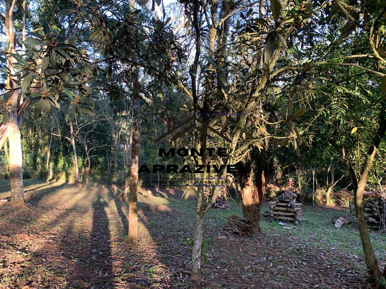 Chácara, 3 quartos, 1 hectares - Foto 39