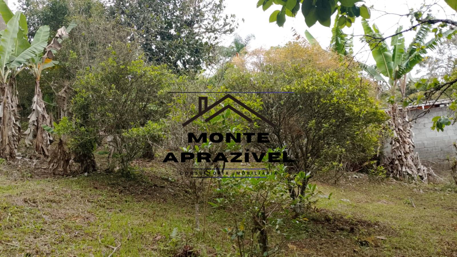 Sítio, 3 quartos, 1600 m² - Foto 15