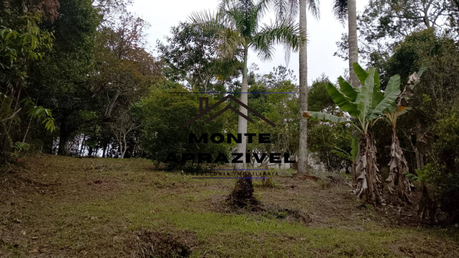 Sítio, 3 quartos, 1600 m² - Foto 19