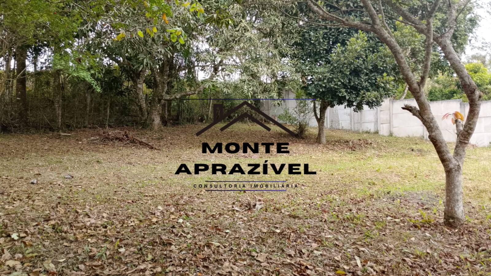 Sítio, 3 quartos, 1600 m² - Foto 22