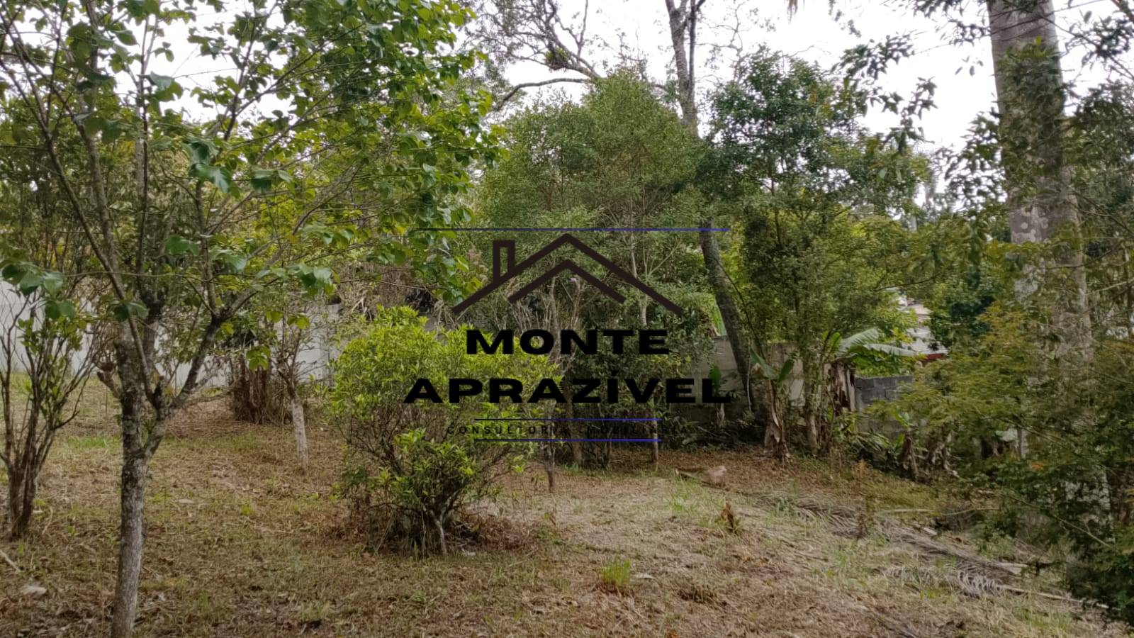 Sítio, 3 quartos, 1600 m² - Foto 36