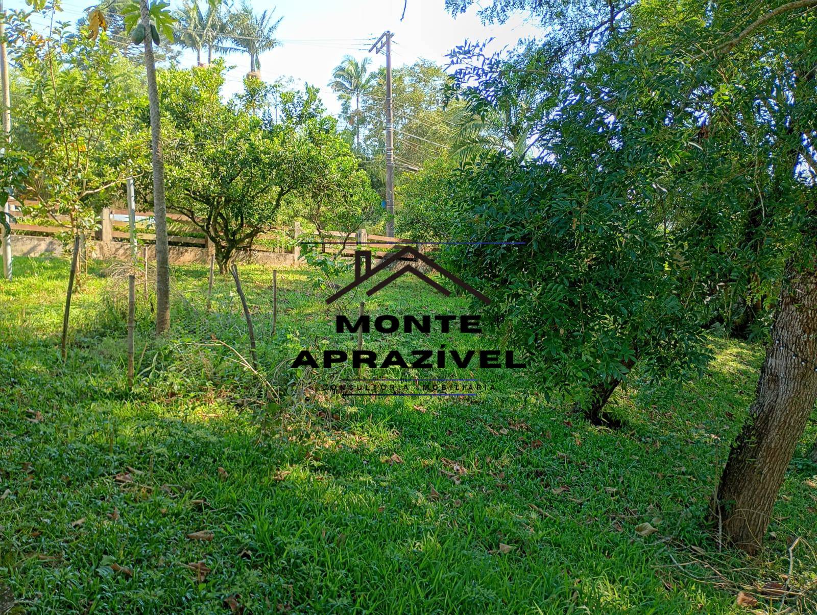 Chácara, 3 quartos, 3000 m² - Foto 14