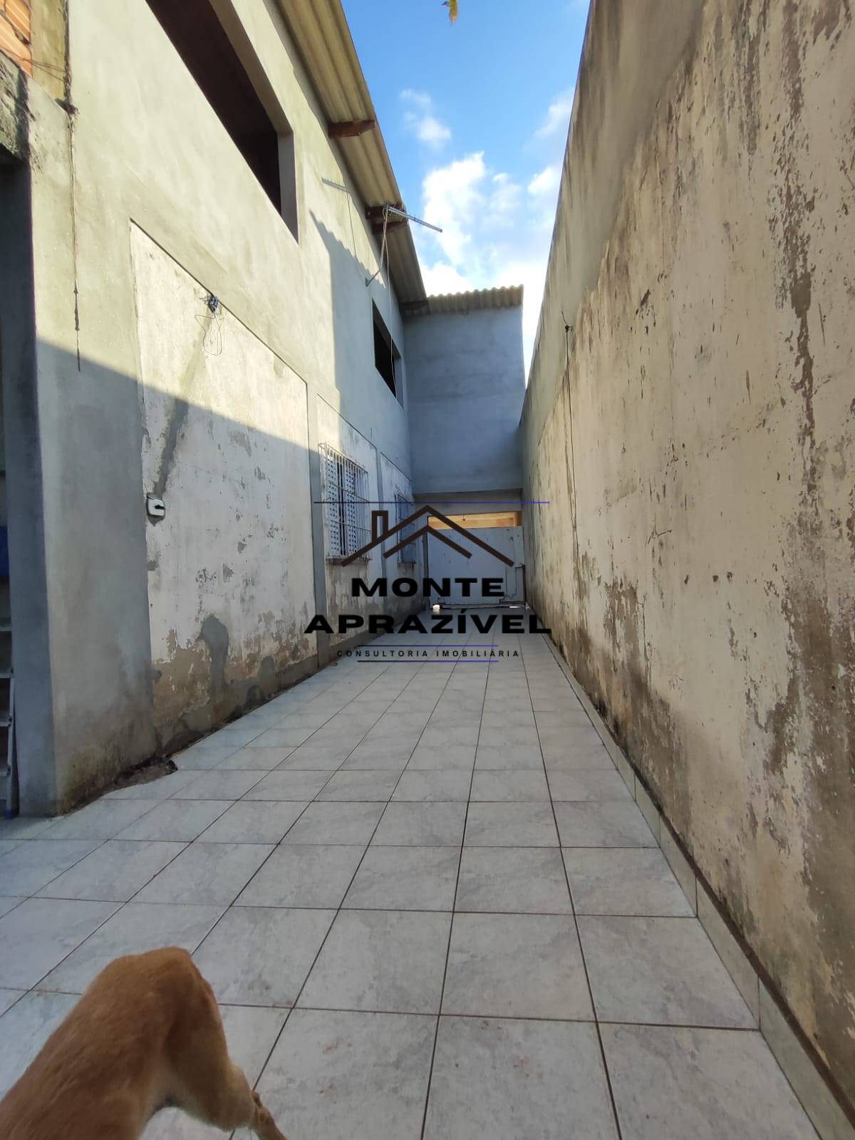 Casa, 4 quartos, 290 m² - Foto 12