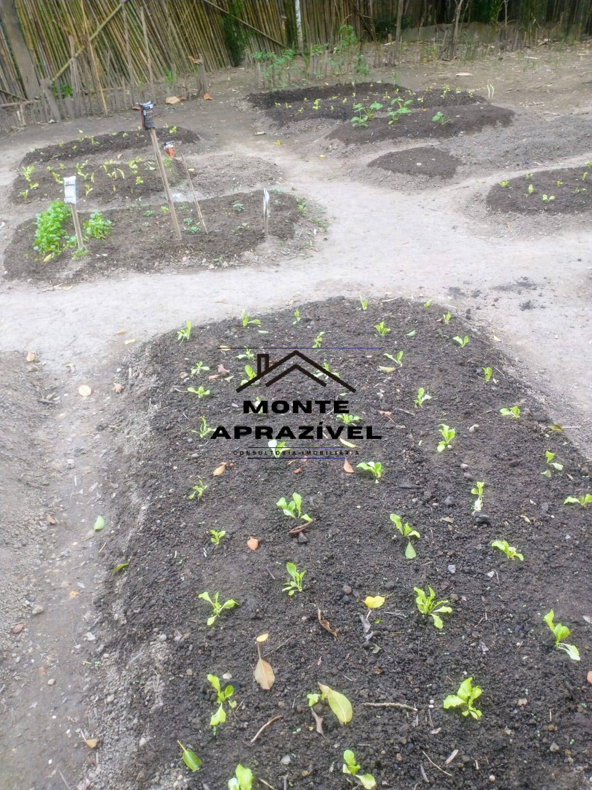 Chácara, 12 quartos, 5000 m² - Foto 27