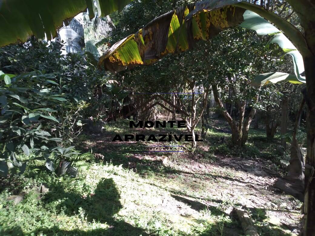 Chácara, 2 quartos, 1420 m² - Foto 33