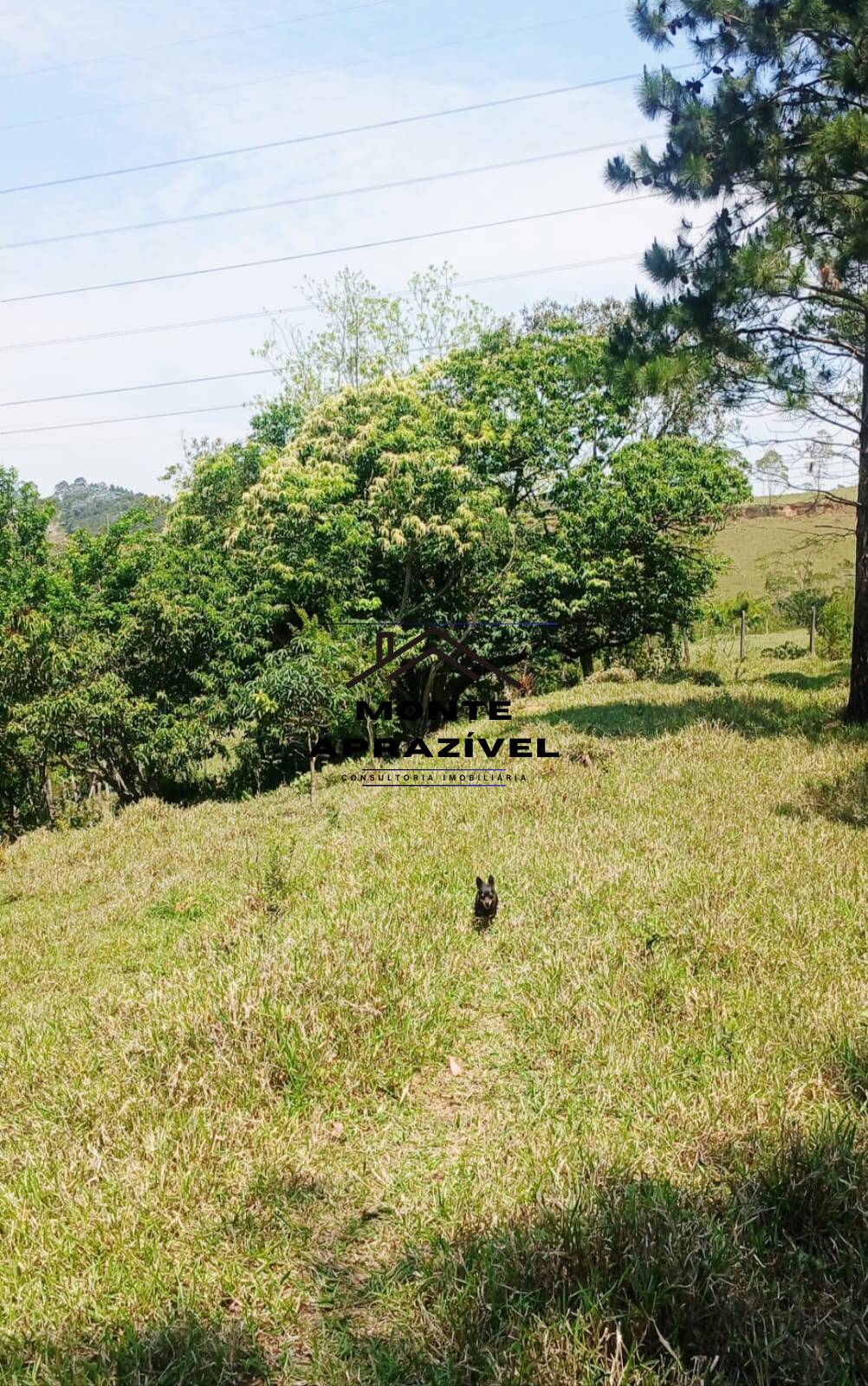 Sítio, 3 quartos, 86 hectares - Foto 18