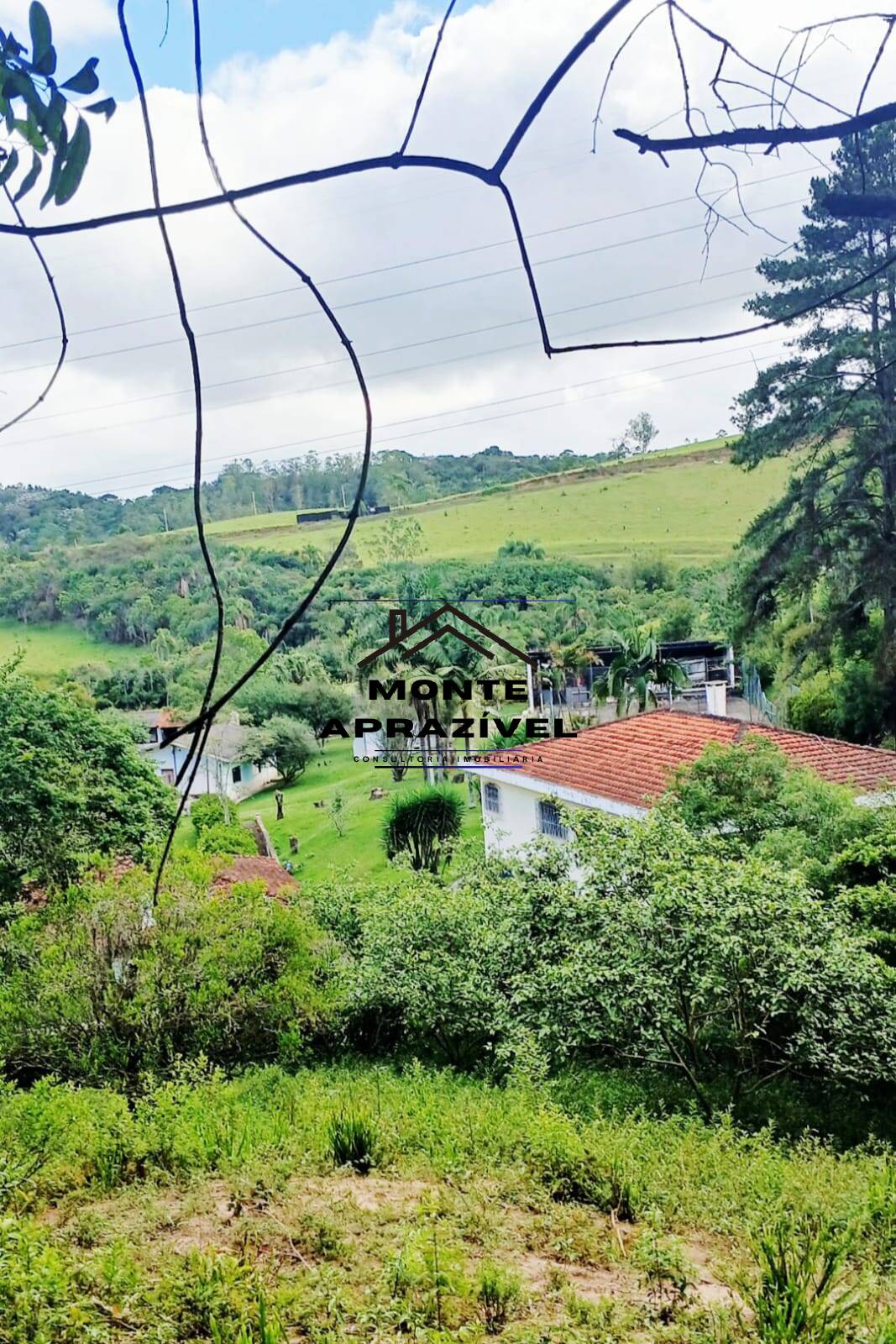 Sítio, 3 quartos, 86 hectares - Foto 22