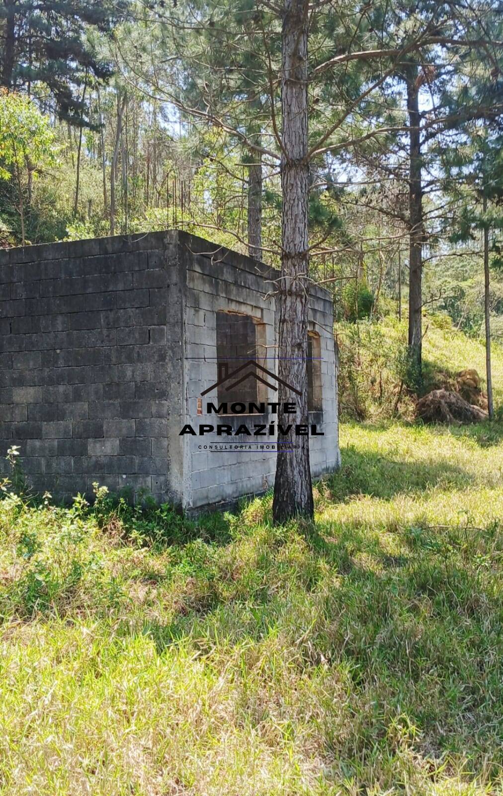 Sítio, 3 quartos, 86 hectares - Foto 23