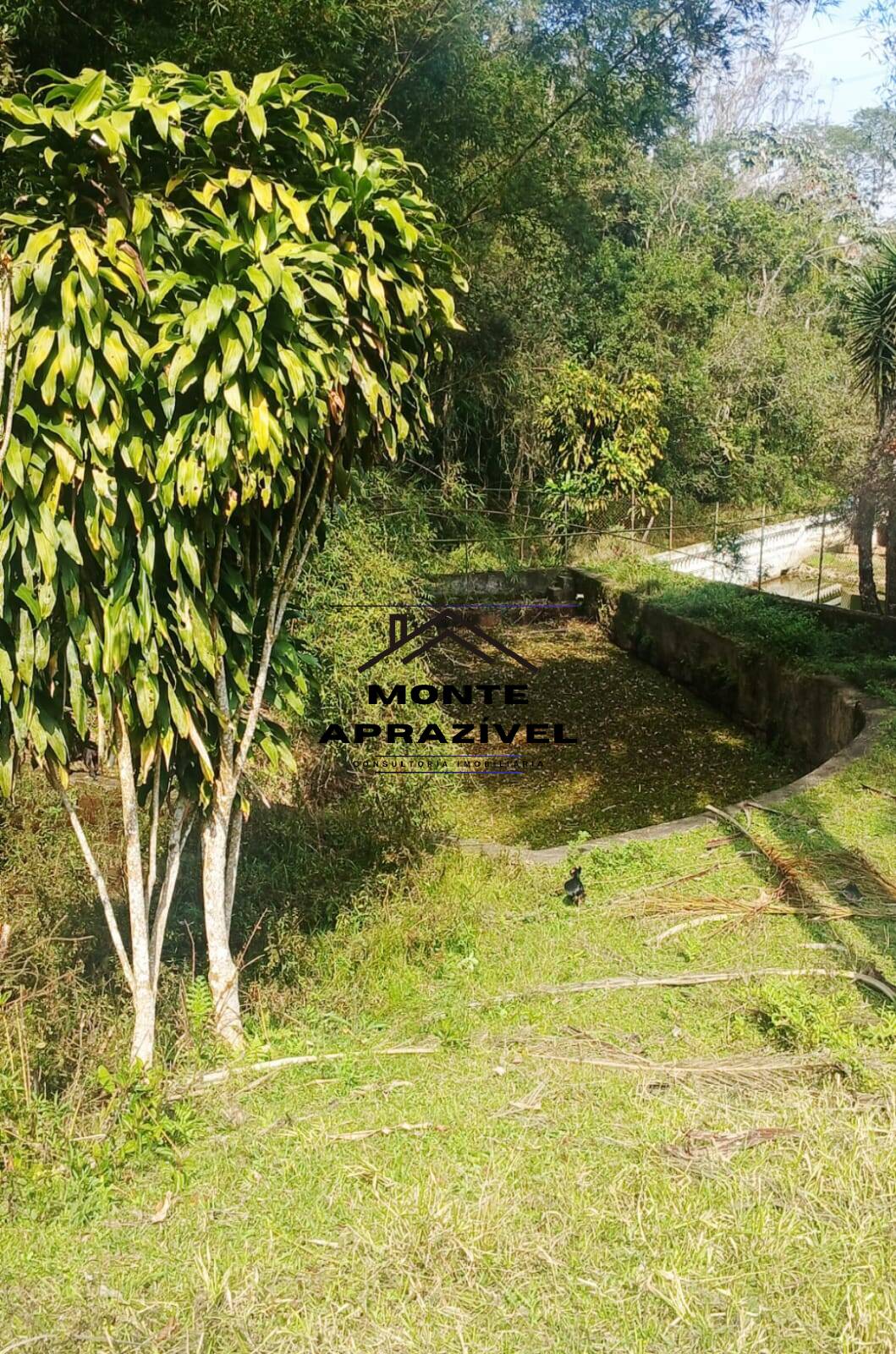 Sítio, 3 quartos, 86 hectares - Foto 26