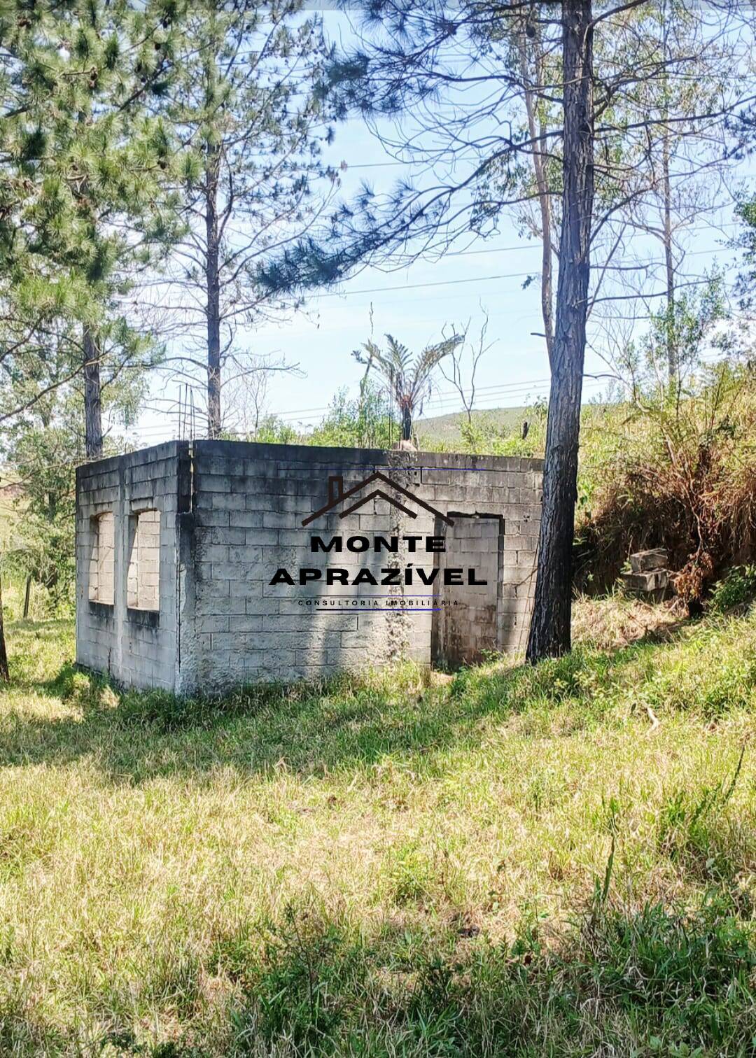 Sítio, 3 quartos, 86 hectares - Foto 28