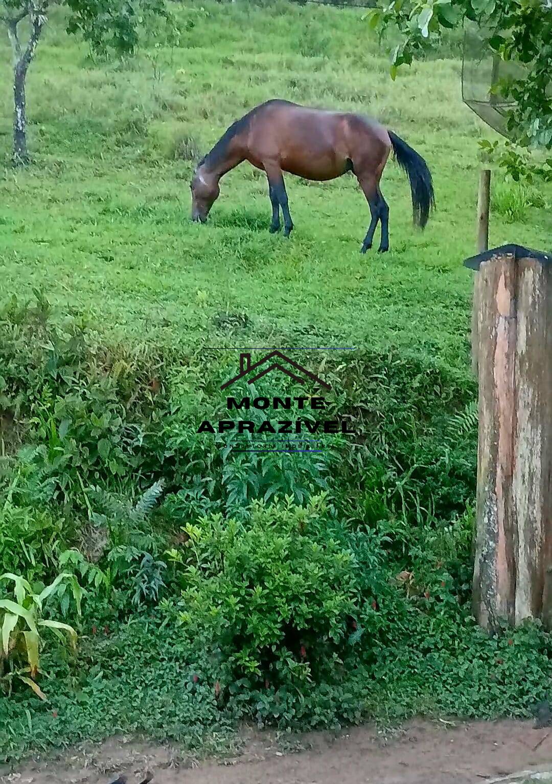 Sítio, 3 quartos, 86 hectares - Foto 39