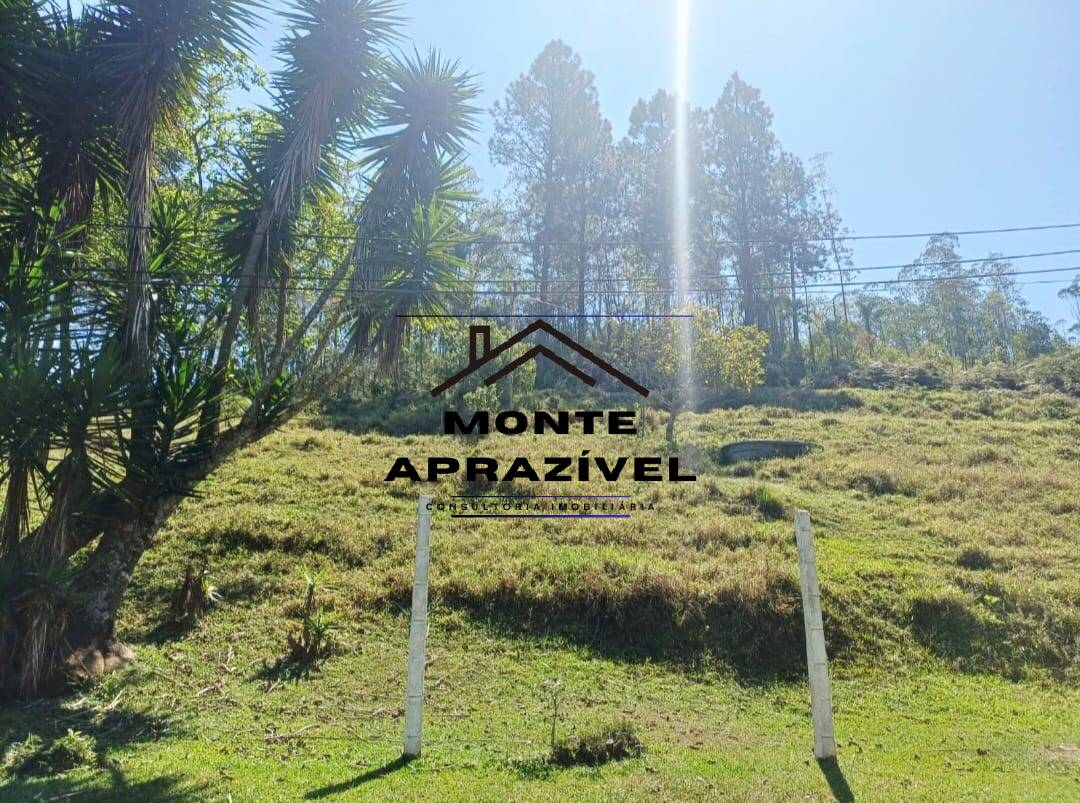 Sítio, 3 quartos, 86 hectares - Foto 42