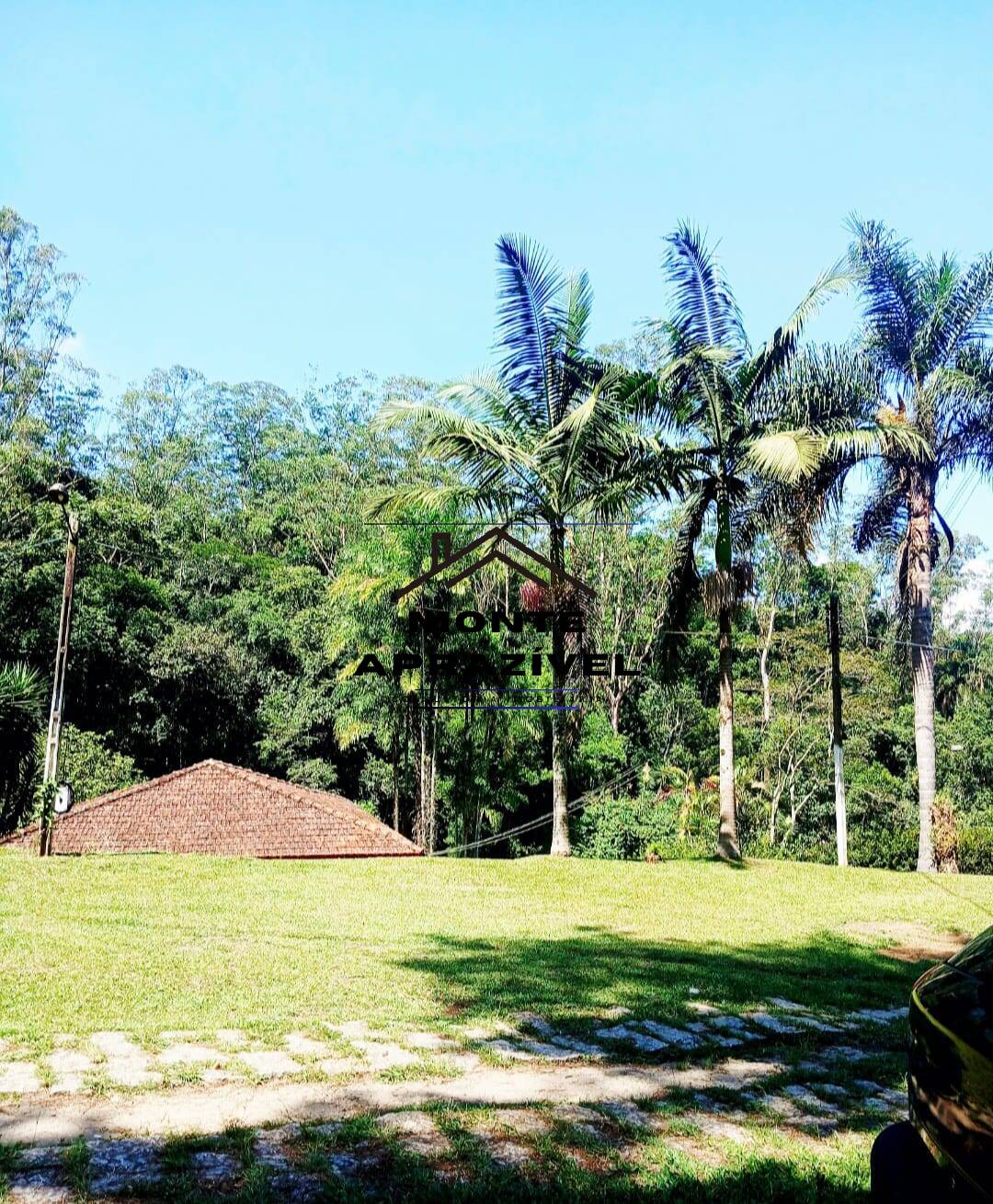 Sítio, 3 quartos, 86 hectares - Foto 45