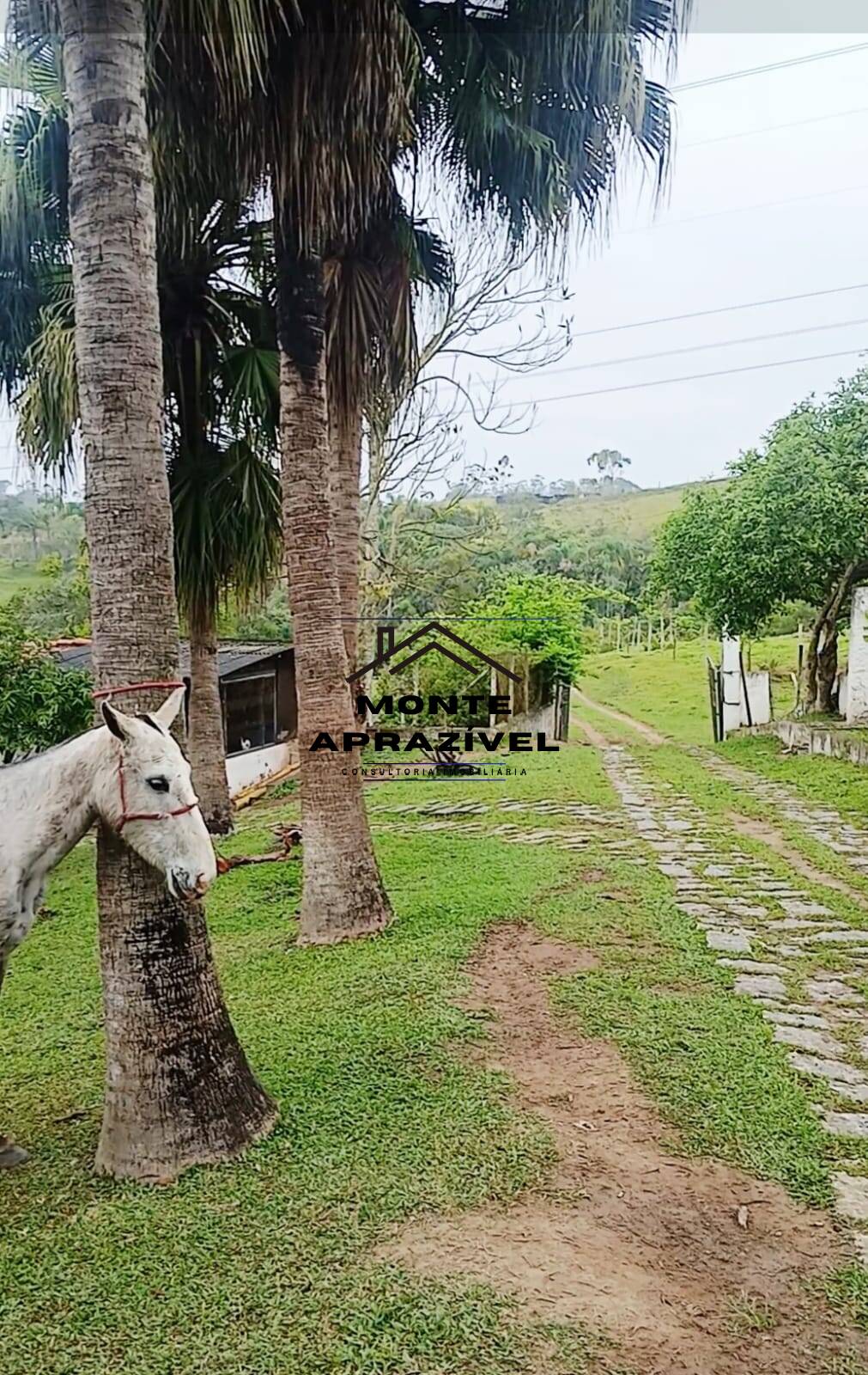 Sítio, 3 quartos, 86 hectares - Foto 47