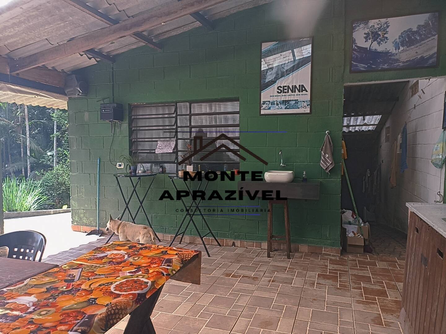 Sítio, 1 quarto, 7000 m² - Foto 9